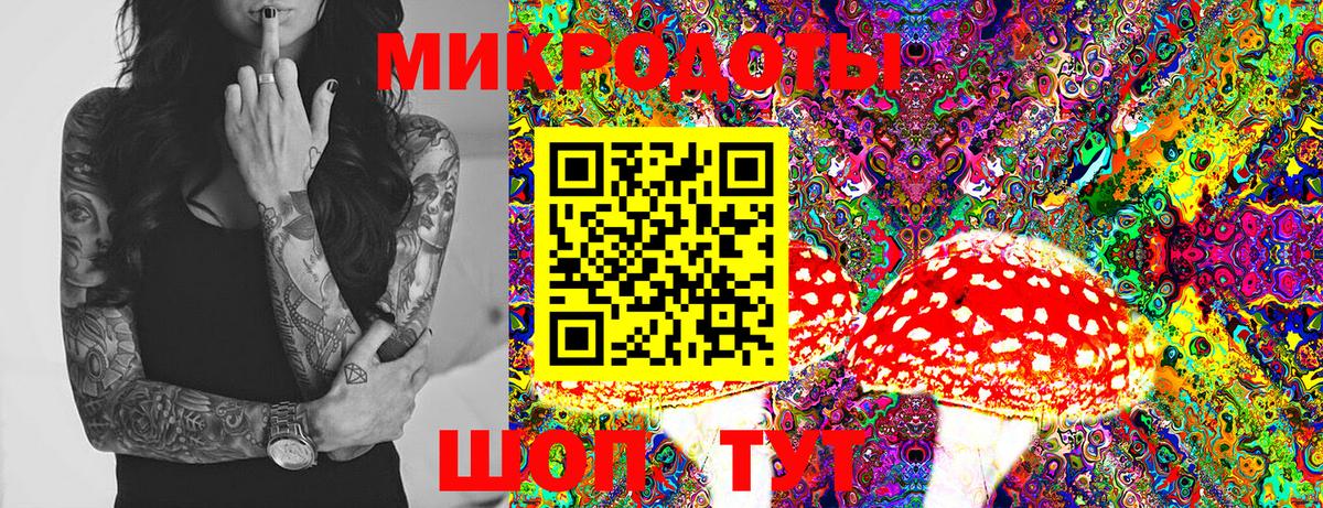 Псилоцибиновые грибы Psilocybe Знаменск