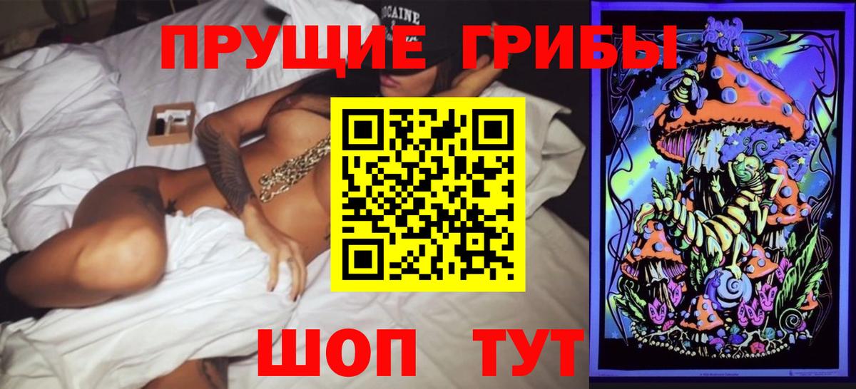 Галлюциногенные грибы мицелий  Псилоцибиновые грибы прущие грибы  Вход с VPN  Знаменск 