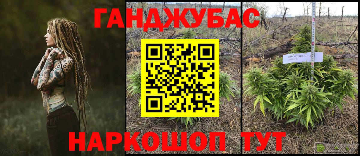 Каннабис OG Kush Знаменск